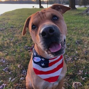 Meet your Posher, Skyla